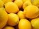 鉢植え栽培の低農薬レモン