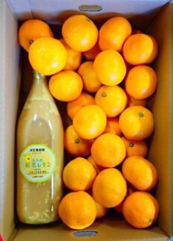 画像1: 手選早生みかん３ｋｇ＆閃光果詰め合わせ
