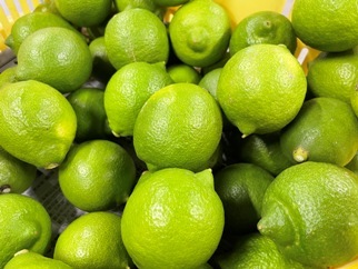 画像2: 鉢植え栽培の低農薬レモン