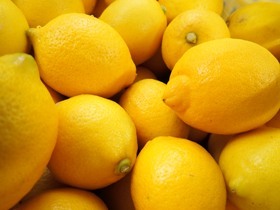 画像1: 鉢植え栽培の低農薬レモン